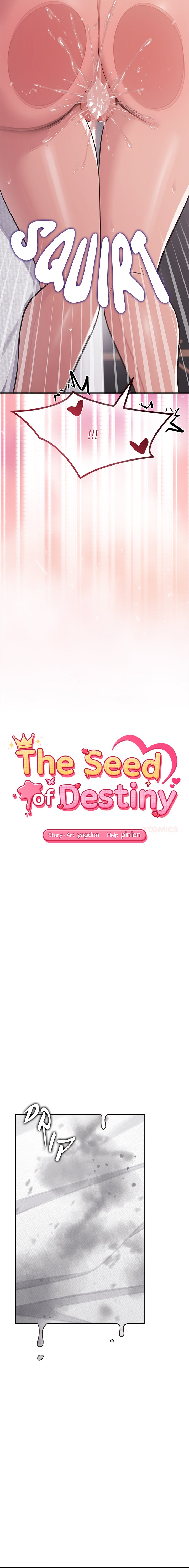 The Seed of Destiny Page 4 - MangaHe