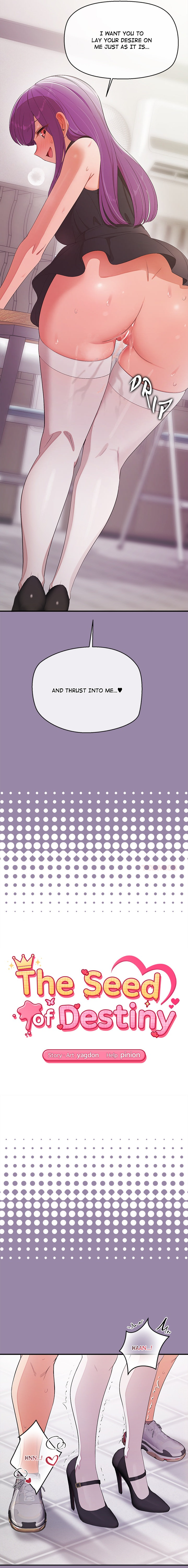 The Seed of Destiny Page 4 - MangaHe
