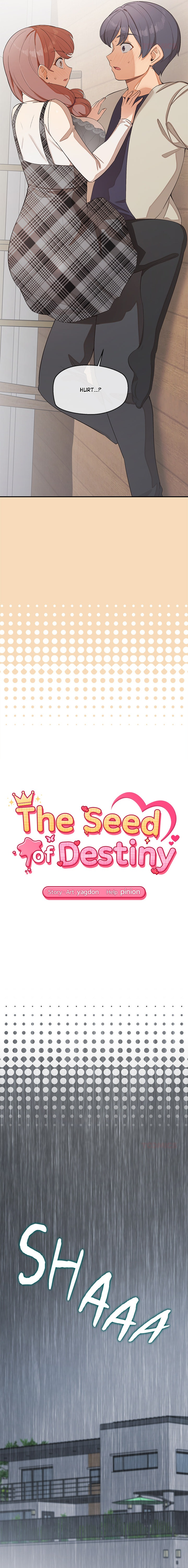The Seed of Destiny Page 4 - MangaHe