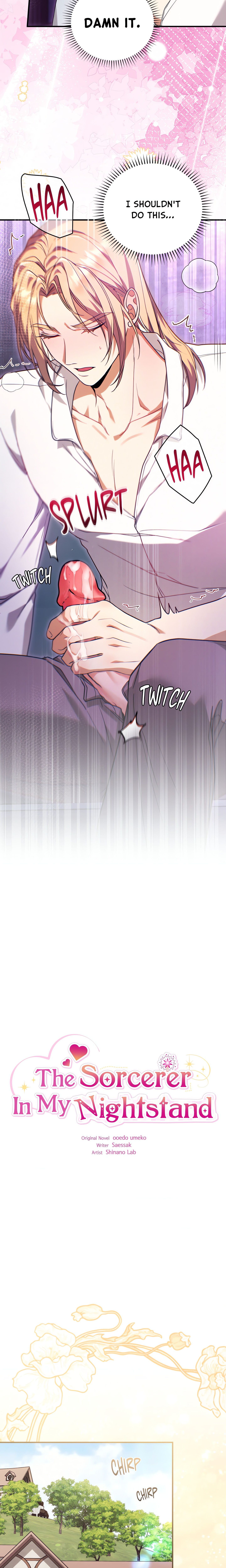 The Sorcerer in My Nightstand (Uncensored) Page 8 - MangaHe