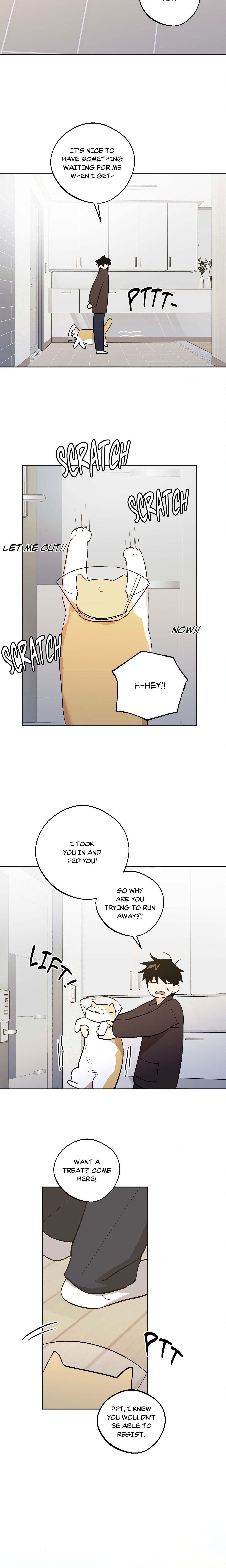 The Rite of Prayer (Uncensored) Page 17 - MangaHe