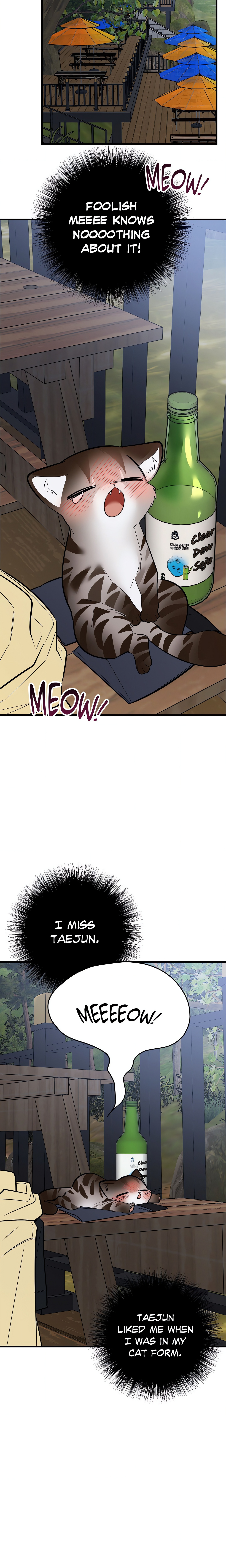 Heat Stroke (Uncensored) Page 35 - MangaHe