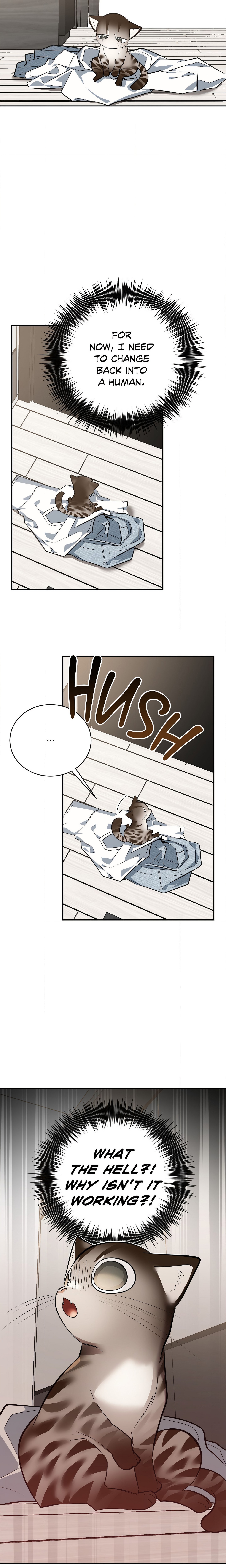 Heat Stroke (Uncensored) Page 15 - MangaHe