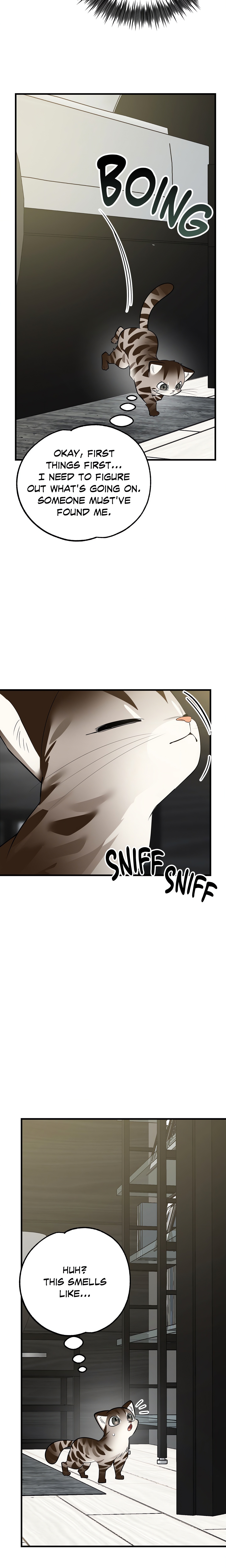 Heat Stroke (Uncensored) Page 7 - MangaHe