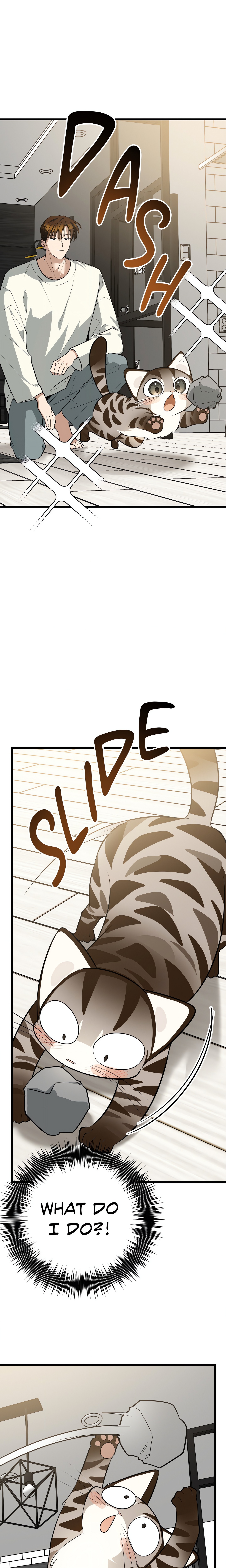 Heat Stroke (Uncensored) Page 13 - MangaHe