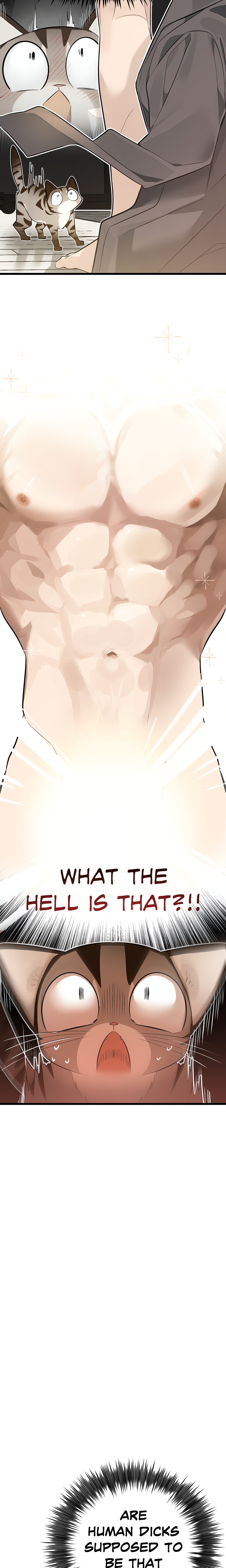 Heat Stroke (Uncensored) Page 8 - MangaHe