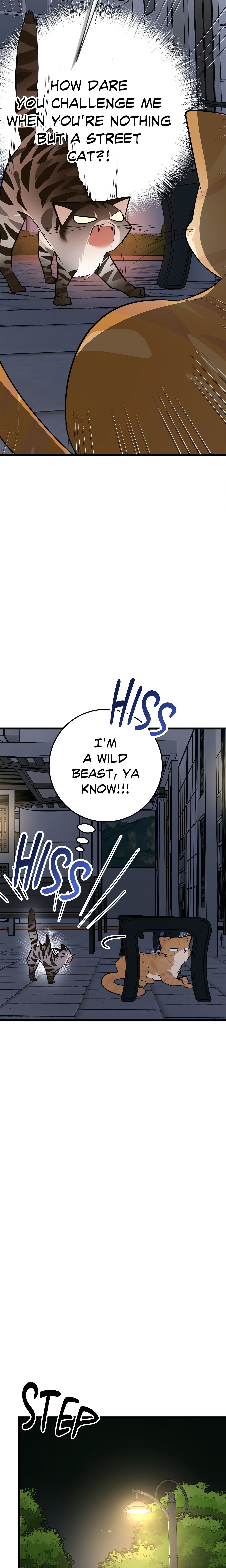 Heat Stroke (Uncensored) Page 13 - MangaHe