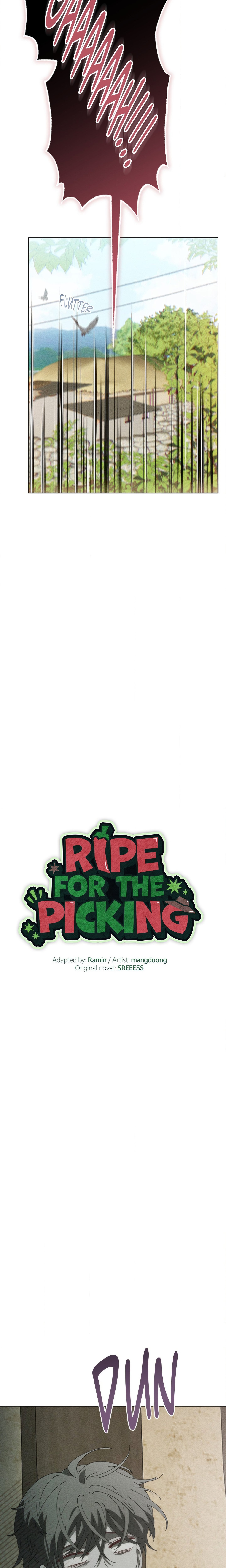 Ripe for the Picking (SREEESS) (Uncensored) Page 12 - MangaHe