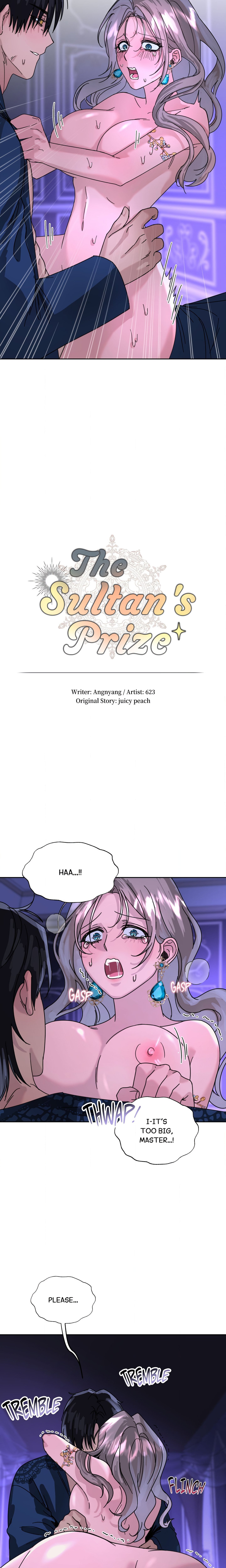The Sultan’s Prize Page 6 - MangaHe
