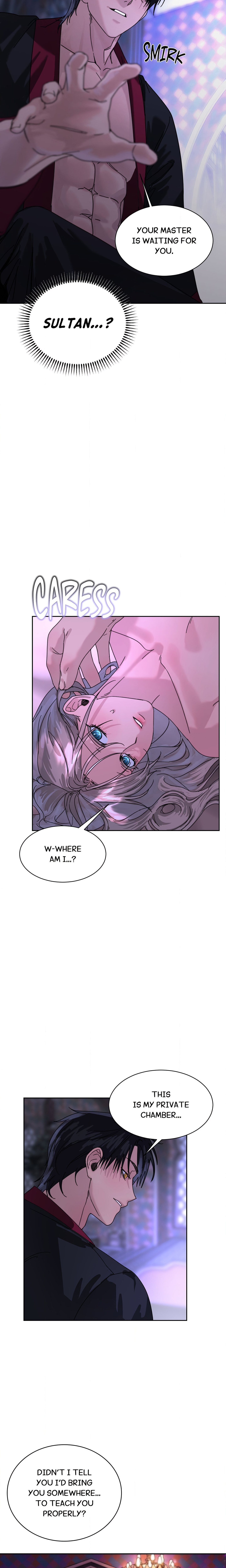 The Sultan’s Prize Page 14 - MangaHe