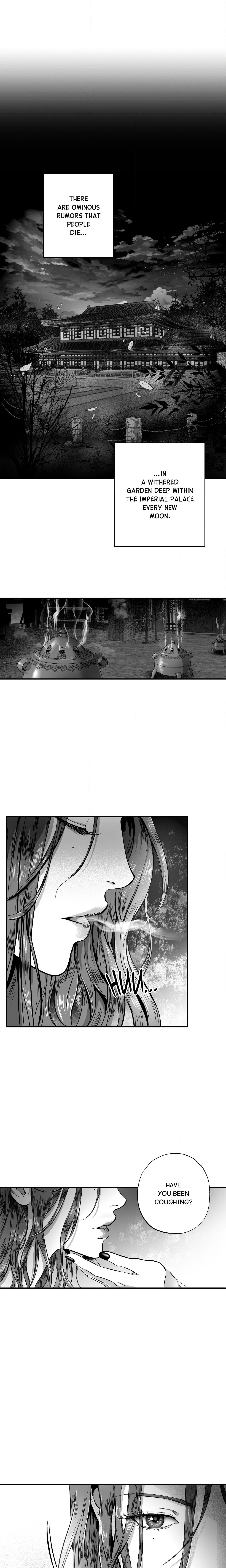 A Night of Ruin Page 3 - MangaHe