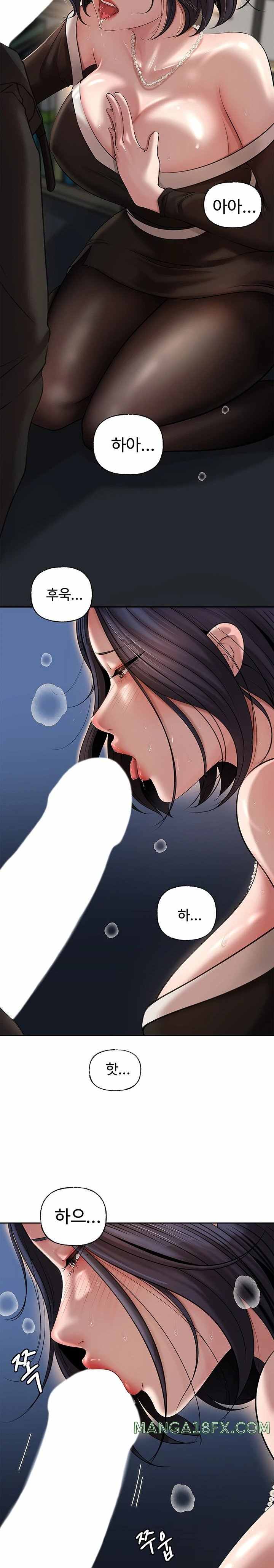 HOT  Not the Daughter, but the Mother Page 29 - MangaHe