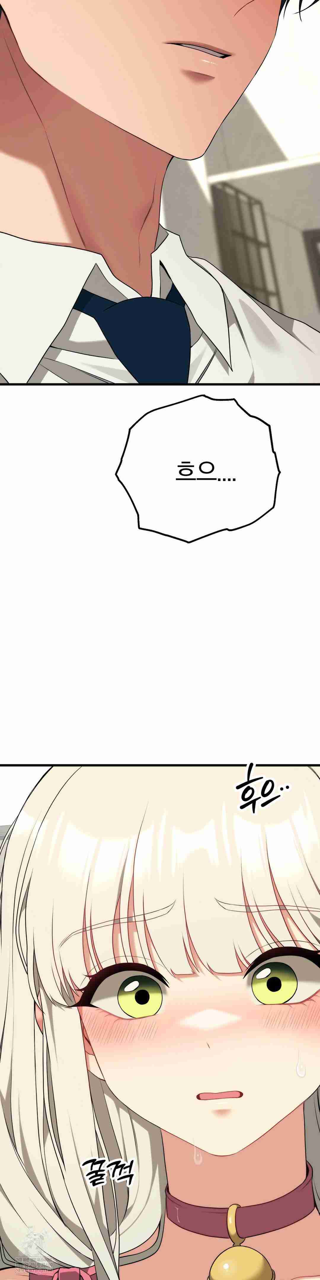NEW  Adult Reading Club Page 29 - MangaHe