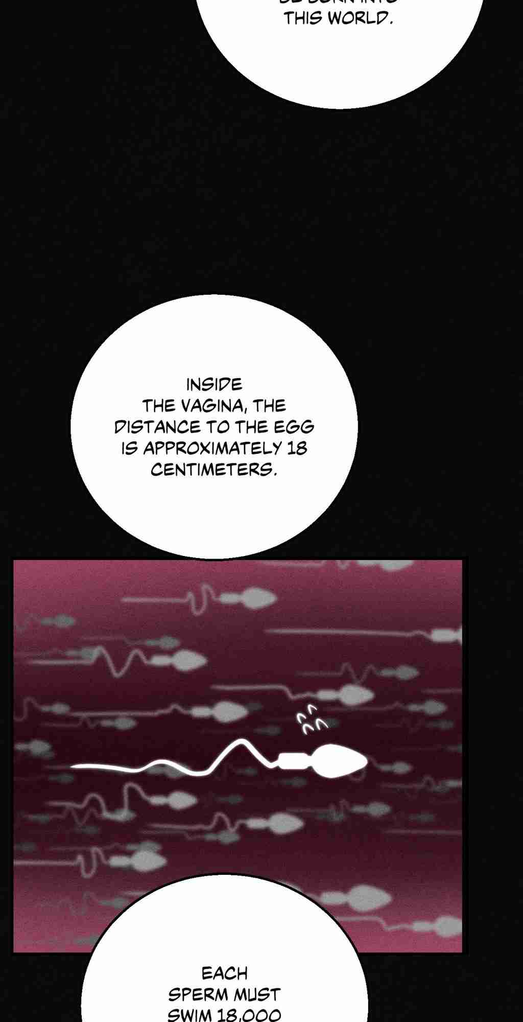 NEW  3rd Grade – 5th Class Page 27 - MangaHe
