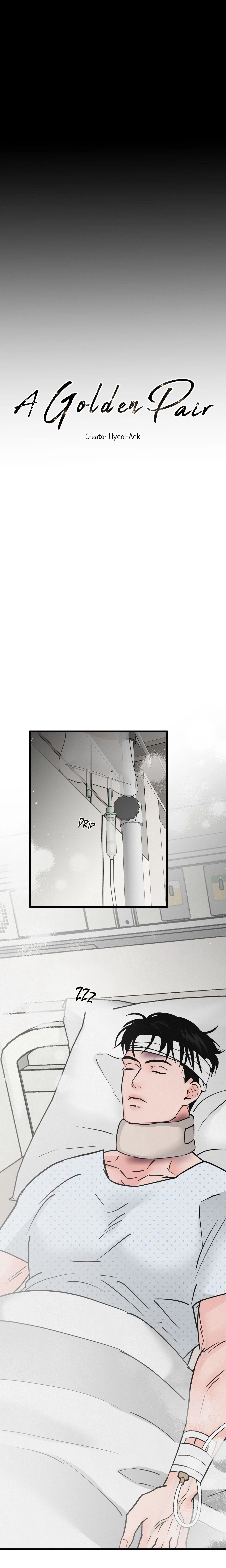 A Golden Pair (Uncensored) Page 9 - MangaHe
