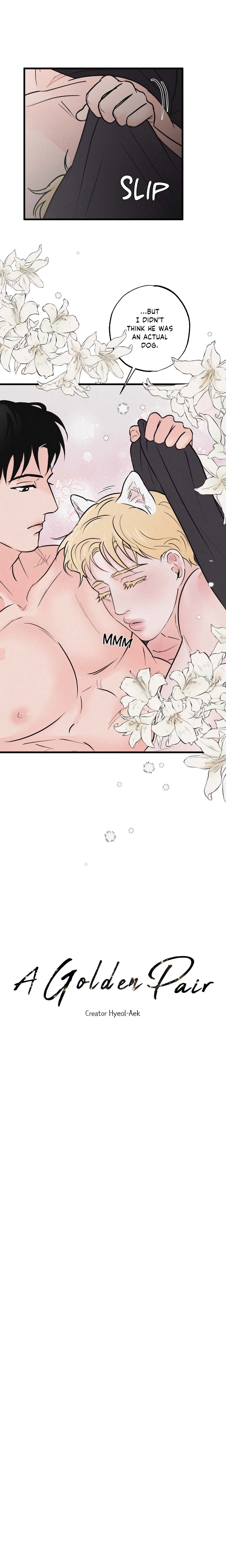 A Golden Pair (Uncensored) Page 5 - MangaHe