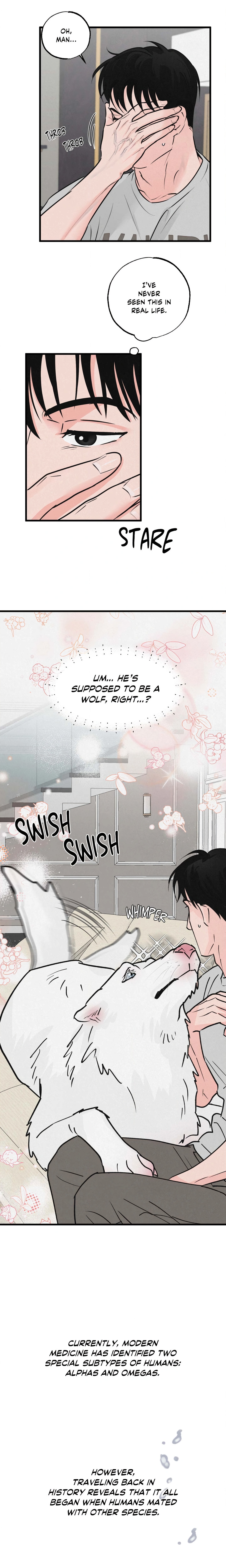 A Golden Pair (Uncensored) Page 11 - MangaHe