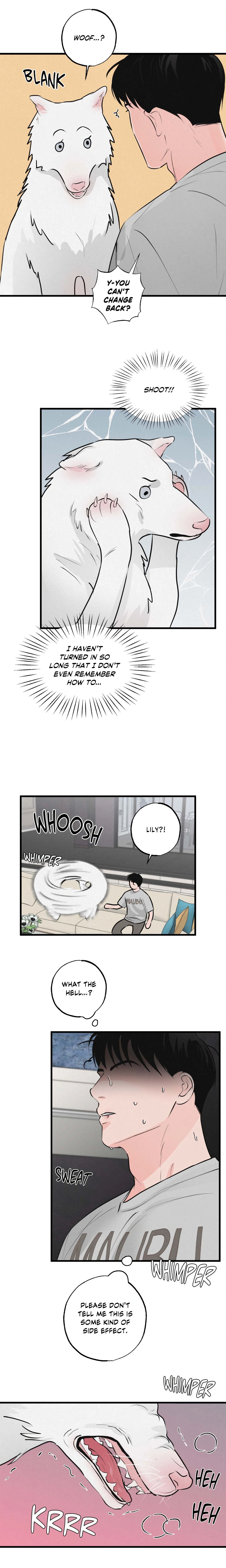 A Golden Pair (Uncensored) Page 15 - MangaHe