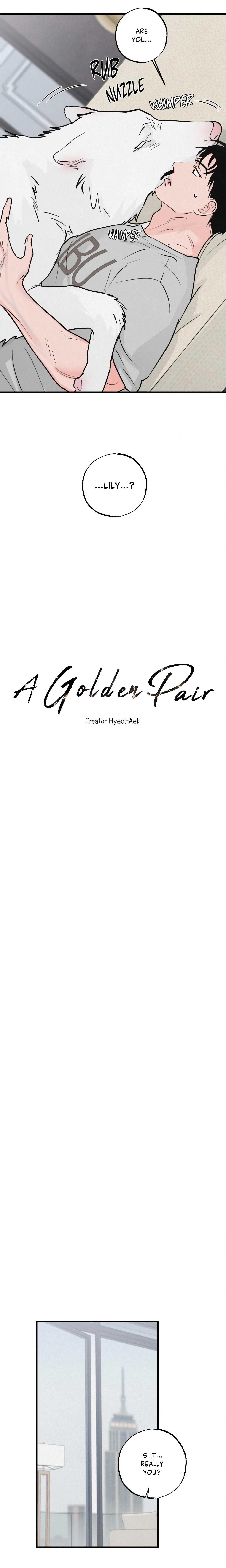 A Golden Pair (Uncensored) Page 10 - MangaHe