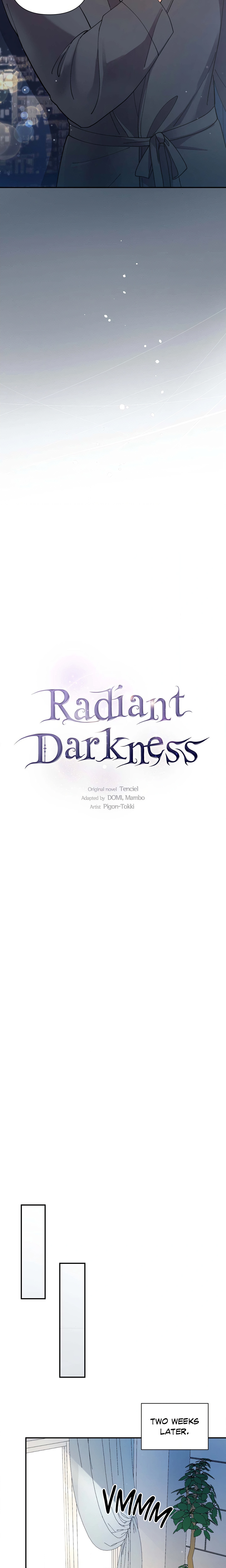 Radiant Darkness (Uncensored) Page 8 - MangaHe