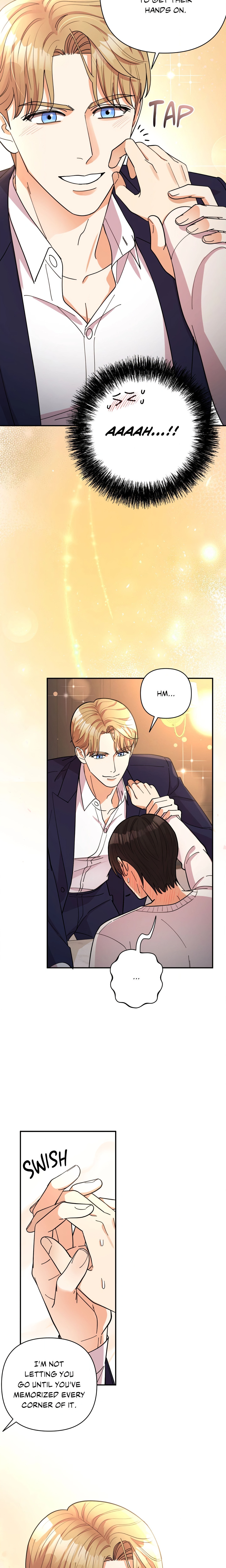 Radiant Darkness (Uncensored) Page 10 - MangaHe