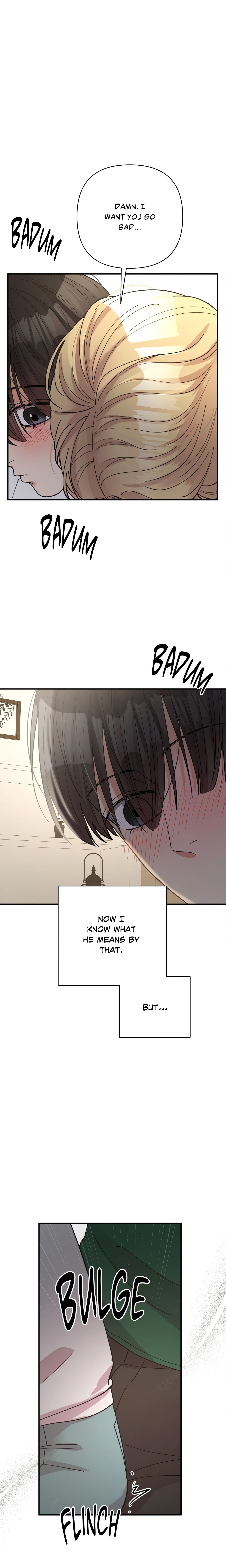 Radiant Darkness (Uncensored) Page 17 - MangaHe