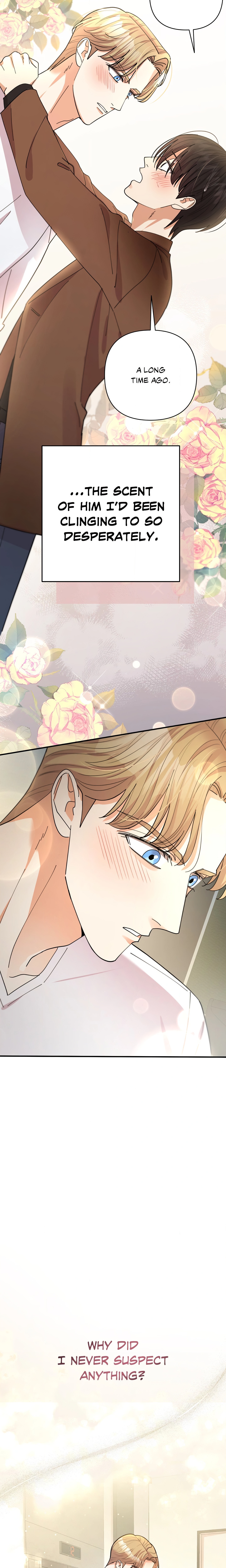 Radiant Darkness (Uncensored) Page 19 - MangaHe