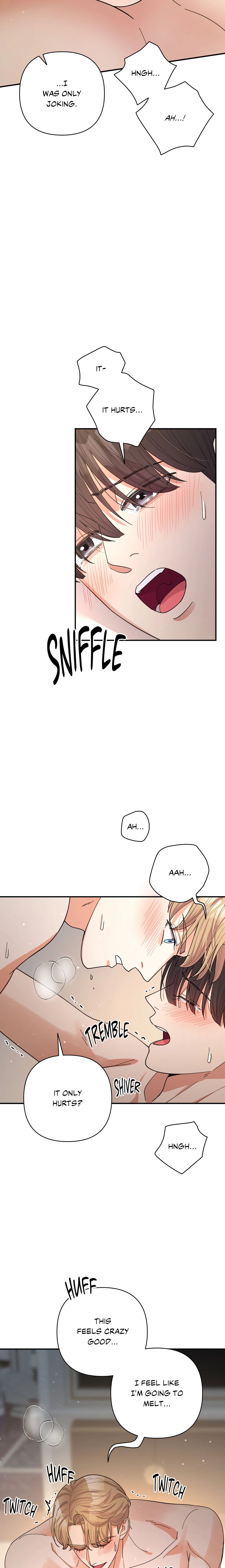 Radiant Darkness (Uncensored) Page 10 - MangaHe