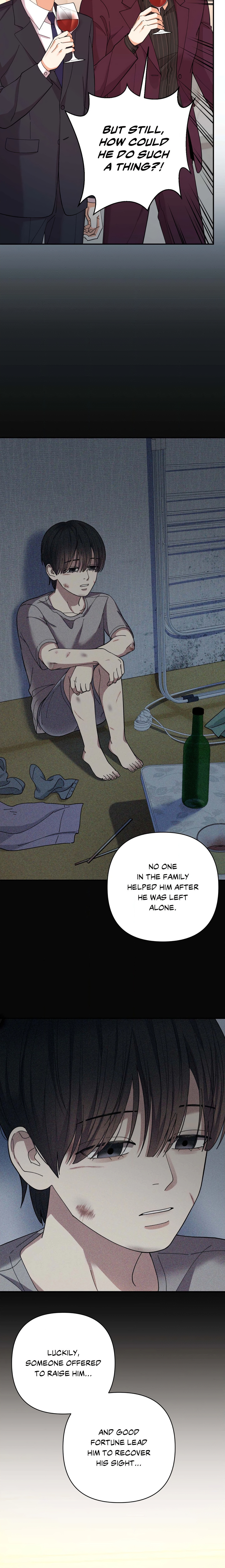 Radiant Darkness (Uncensored) Page 17 - MangaHe