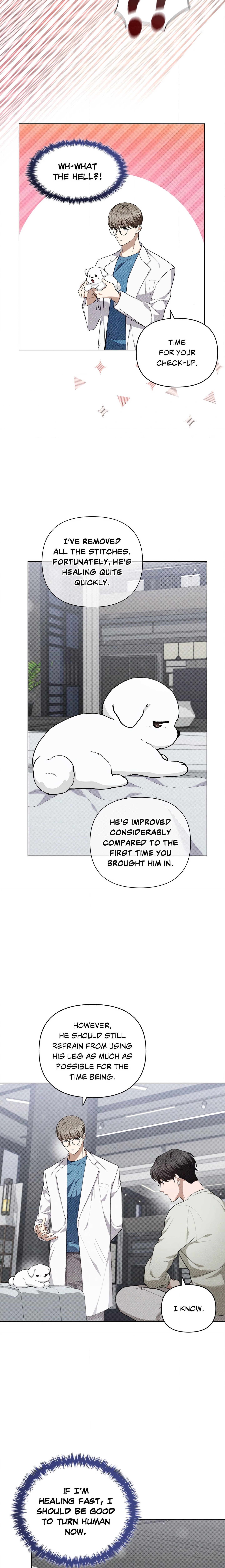 Paws & Claws (Uncensored) Page 17 - MangaHe