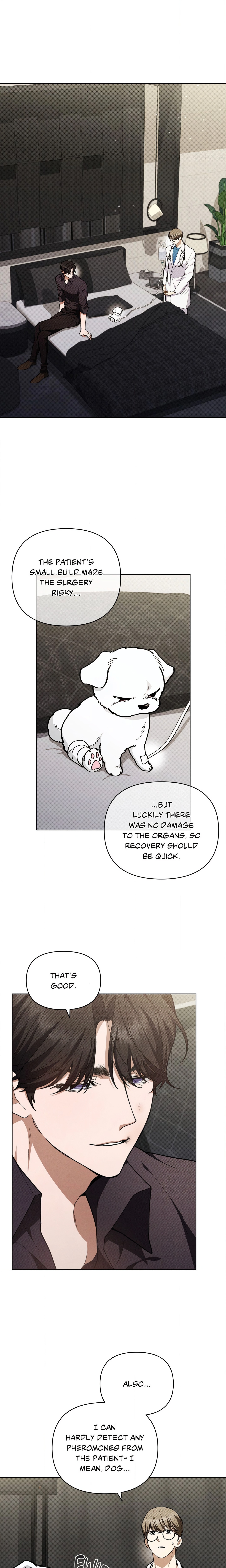 Paws & Claws (Uncensored) Page 3 - MangaHe