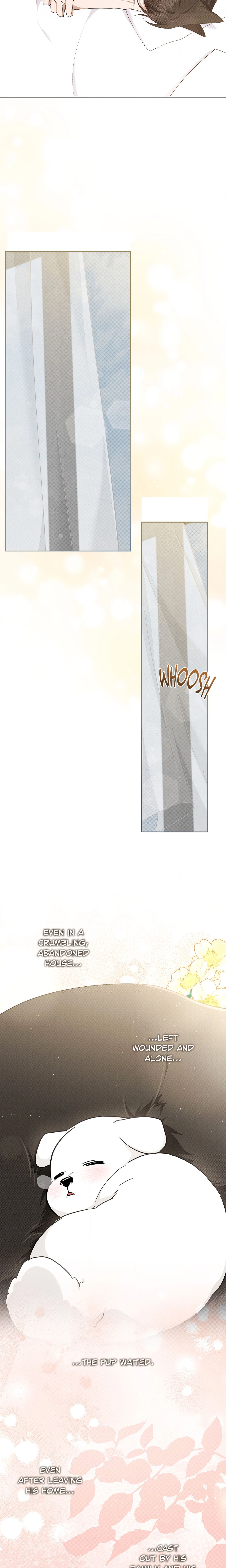Paws & Claws (Uncensored) Page 17 - MangaHe