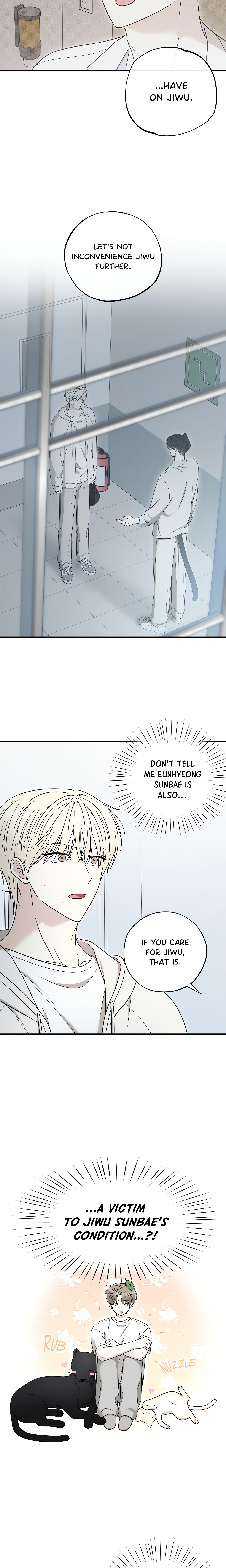 The Purrfect Mat Page 7 - MangaHe