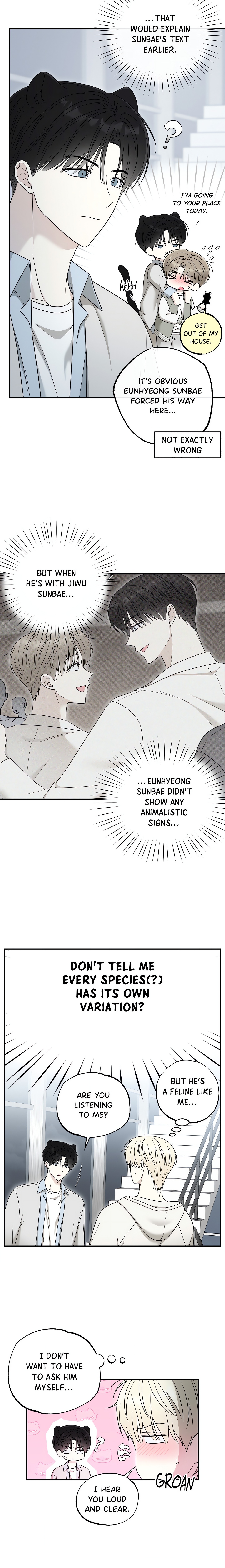 The Purrfect Mat Page 8 - MangaHe