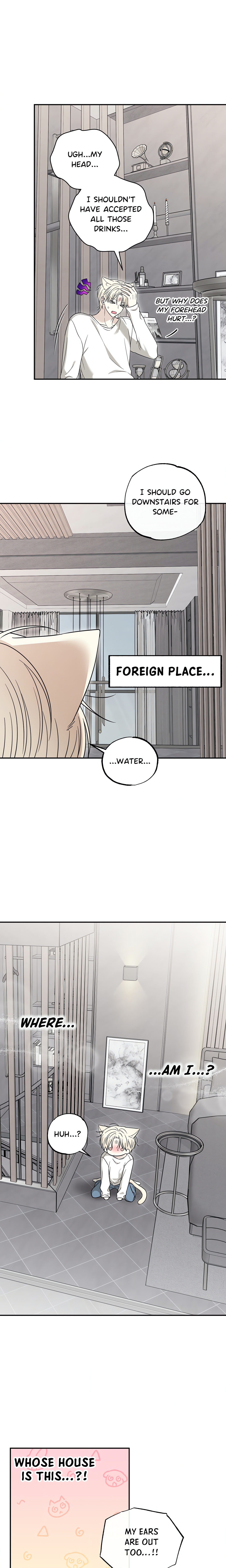 The Purrfect Mat Page 12 - MangaHe