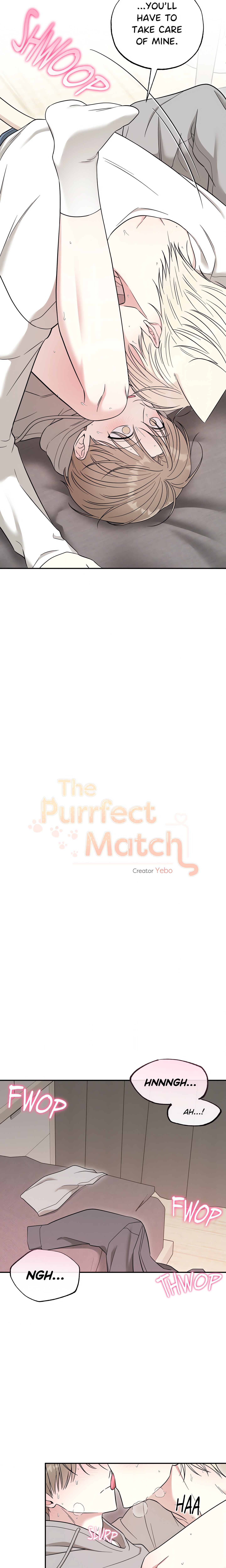 The Purrfect Mat Page 11 - MangaHe