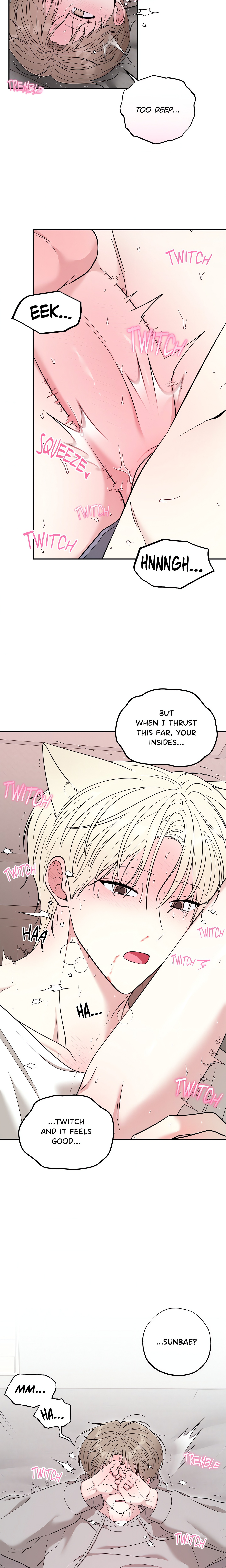 The Purrfect Mat Page 16 - MangaHe