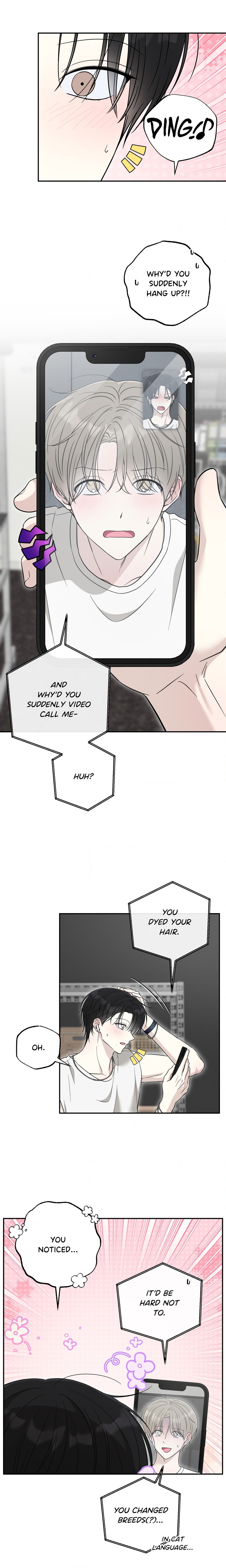 The Purrfect Mat Page 5 - MangaHe
