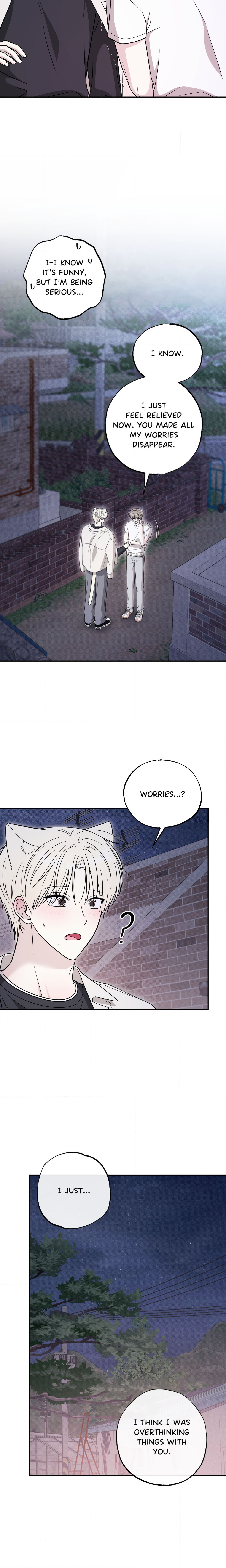 The Purrfect Mat Page 12 - MangaHe