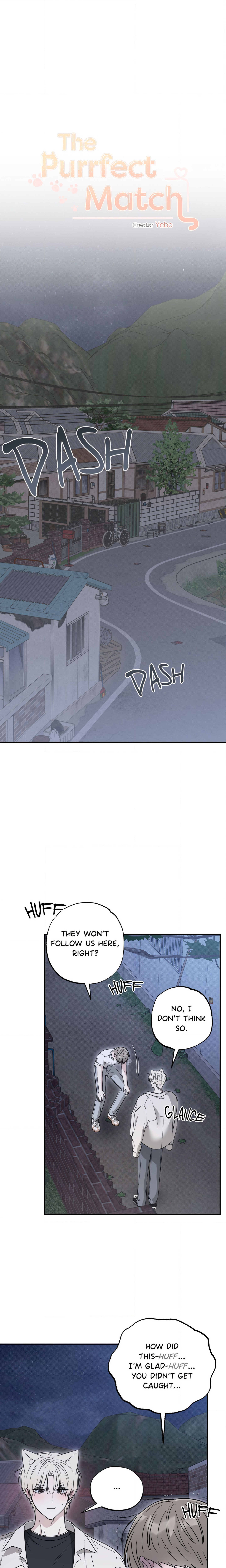The Purrfect Mat Page 3 - MangaHe