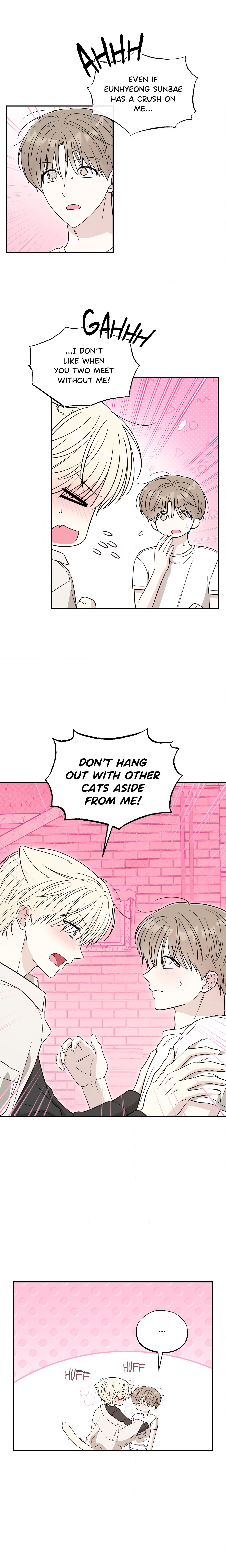 The Purrfect Mat Page 9 - MangaHe