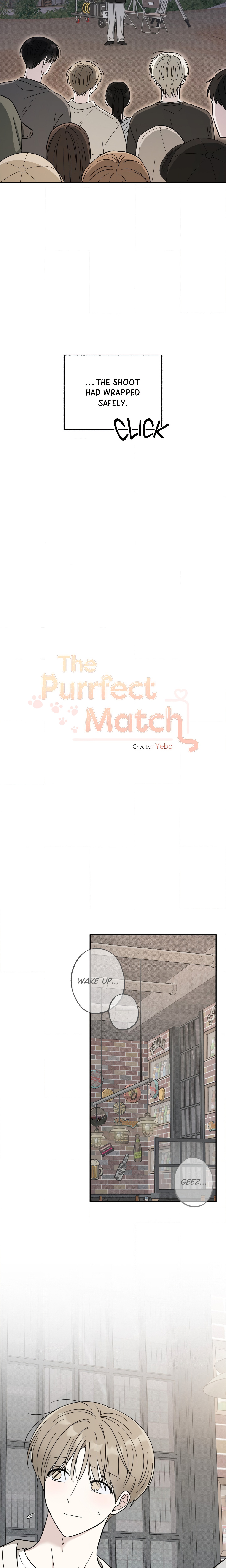 The Purrfect Mat Page 4 - MangaHe