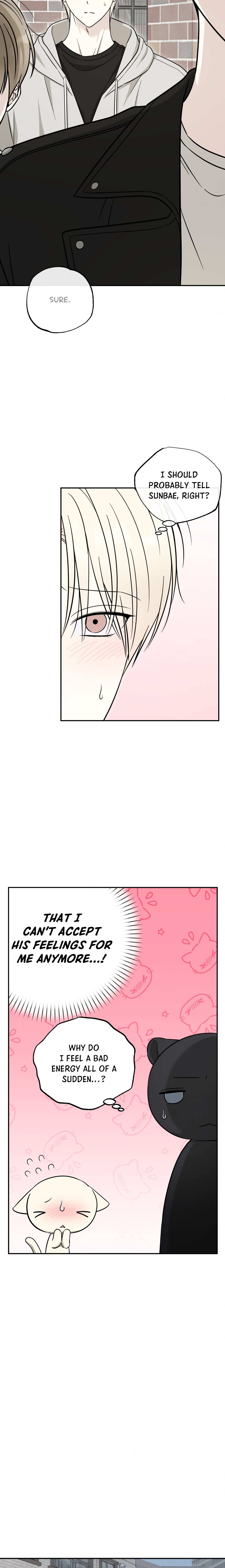 The Purrfect Mat Page 7 - MangaHe