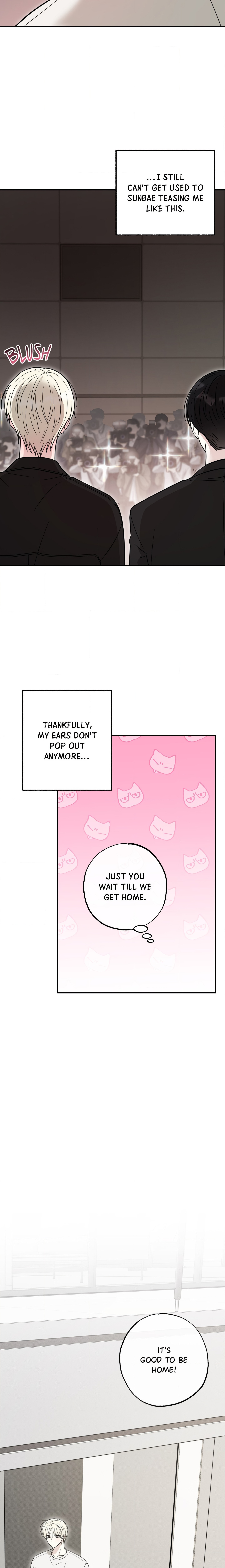 The Purrfect Mat Page 17 - MangaHe