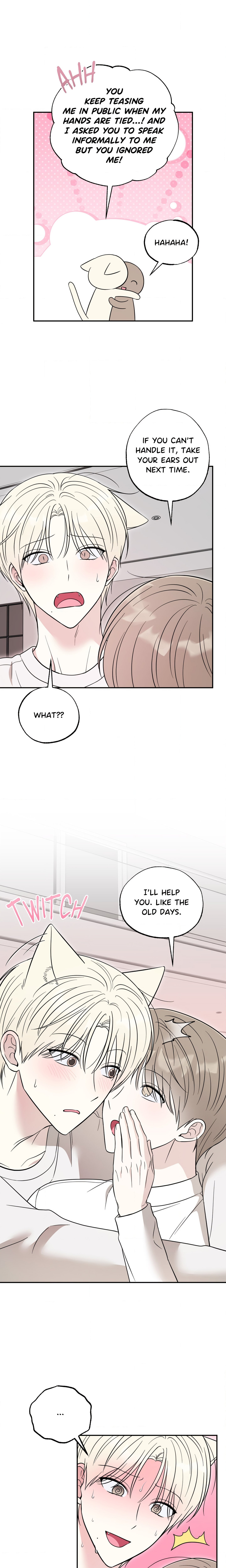 The Purrfect Mat Page 19 - MangaHe