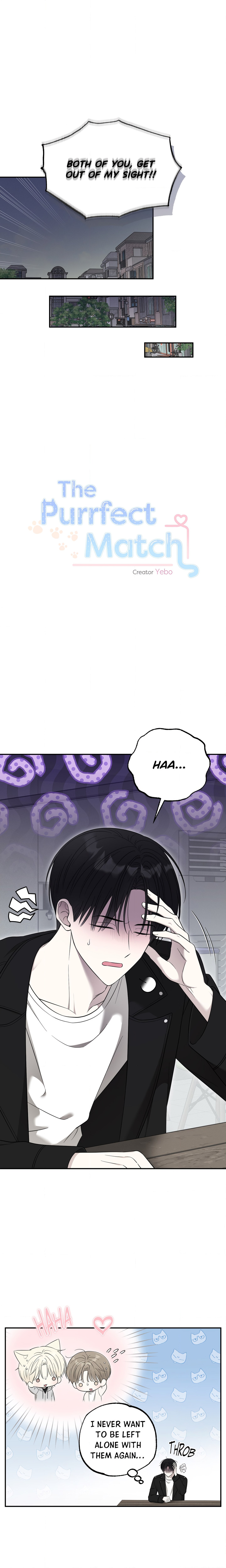 The Purrfect Mat Page 3 - MangaHe