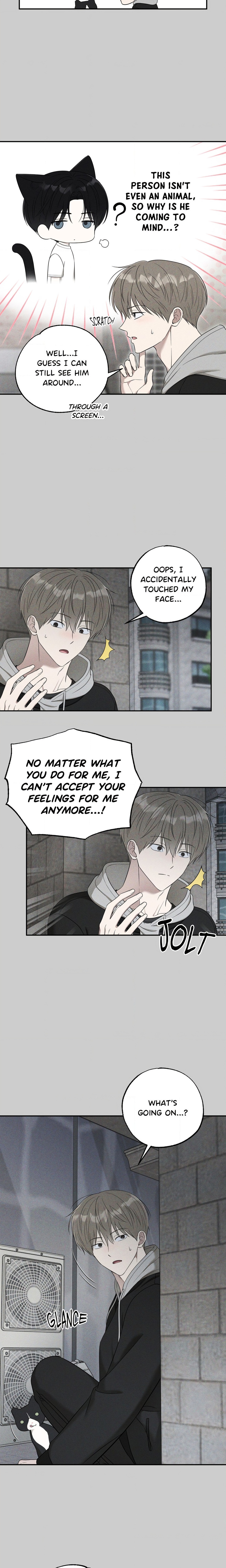 The Purrfect Mat Page 15 - MangaHe