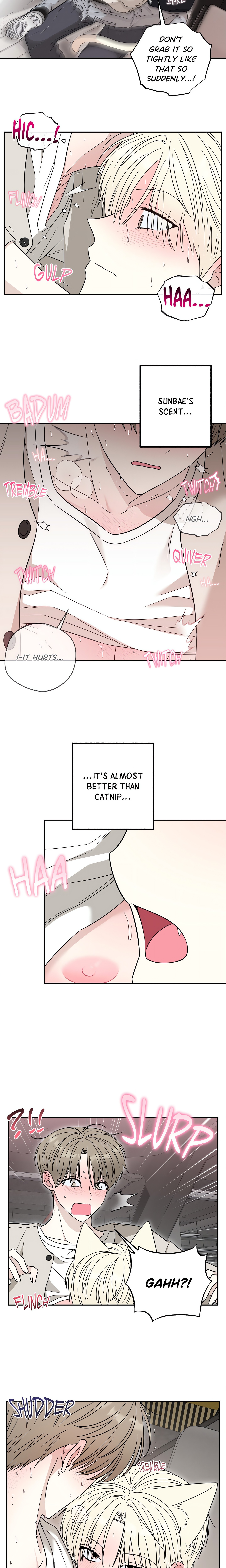 The Purrfect Mat Page 16 - MangaHe