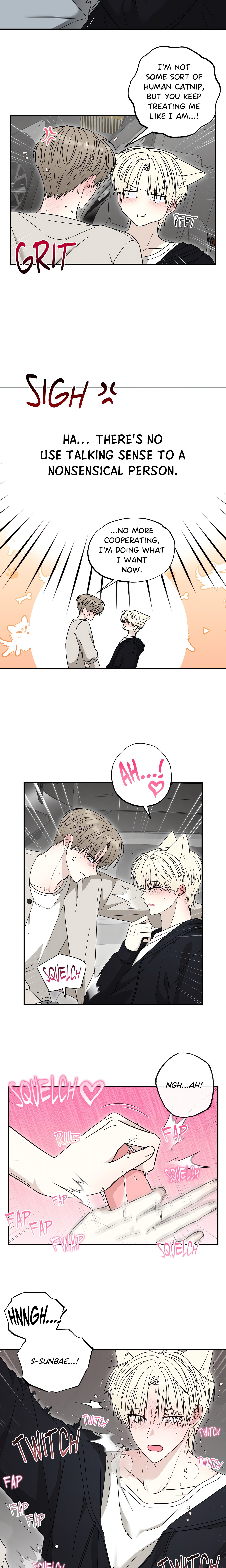The Purrfect Mat Page 18 - MangaHe