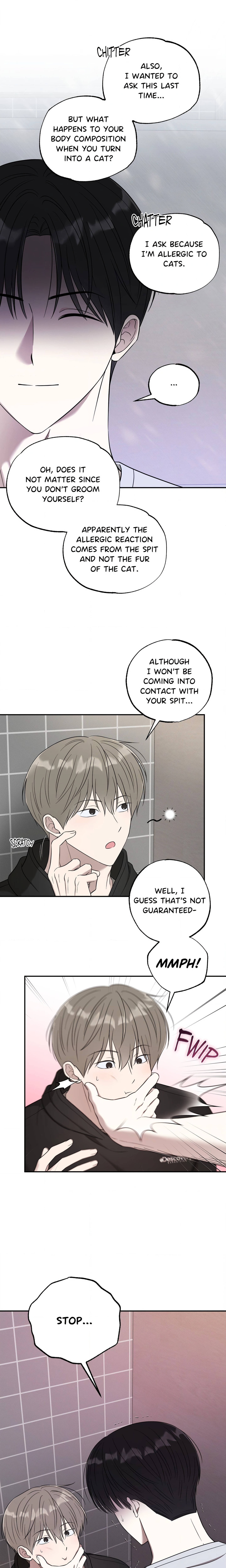 The Purrfect Mat Page 18 - MangaHe